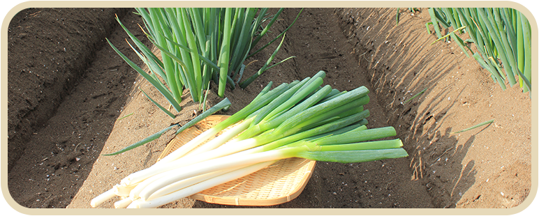 農家の愛情が詰まったお米と野菜